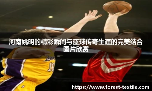 河南姚明的精彩瞬间与篮球传奇生涯的完美结合图片欣赏