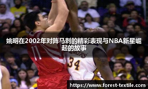 姚明在2002年对阵马刺的精彩表现与NBA新星崛起的故事