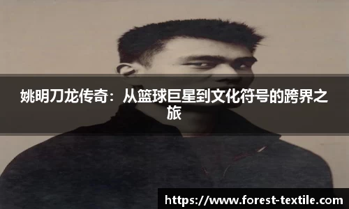 姚明刀龙传奇：从篮球巨星到文化符号的跨界之旅