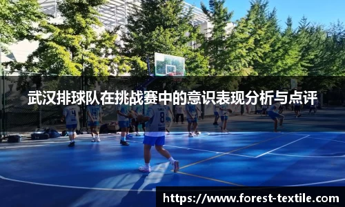 武汉排球队在挑战赛中的意识表现分析与点评