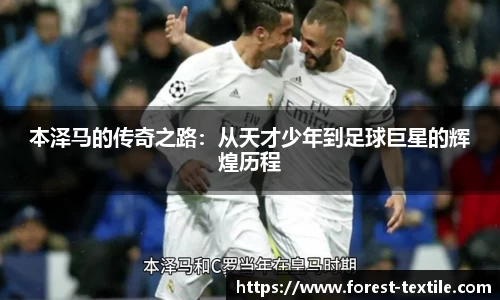 本泽马的传奇之路：从天才少年到足球巨星的辉煌历程