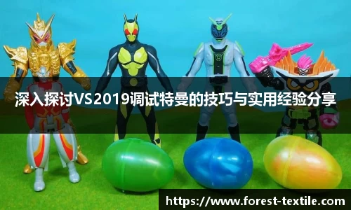 深入探讨VS2019调试特曼的技巧与实用经验分享
