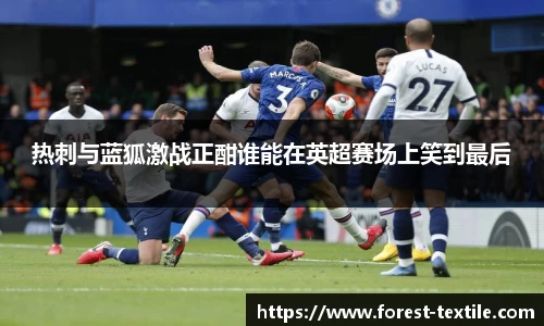 热刺与蓝狐激战正酣谁能在英超赛场上笑到最后